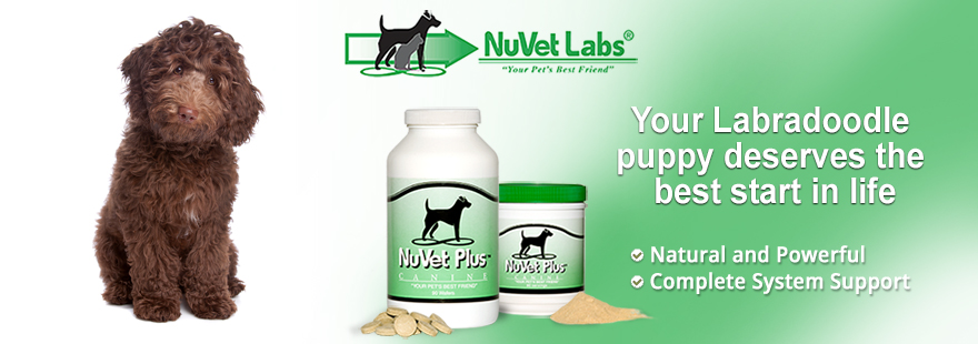 nuvet labs dogs cats vitamins supplements header